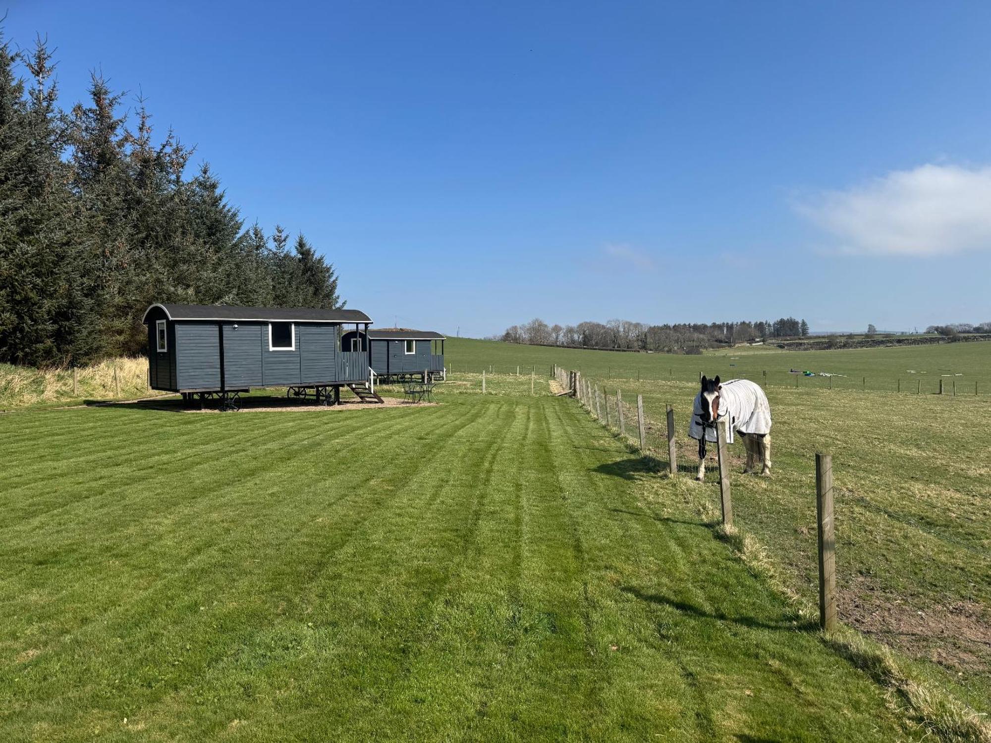 Roslin Glamping Hotel Kültér fotó